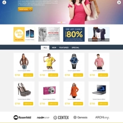 Multi-Vendor E-Commerce Marketplace Development